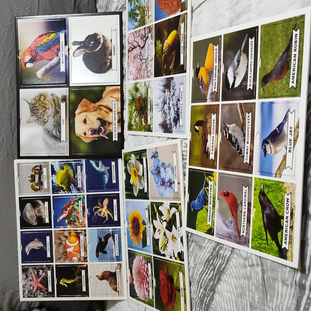 Photographic Matching Game - Picture 2 of 4